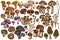 Vector set of hand drawn colored oyster mushroom, champignon, honey agaric, shiitake, porcini, morel mushroom