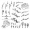 Vector Set of Hand Drawn Elements, Spring Twigs, Sprouts, Leaves, Flowers, Black Drawings, Isolated.