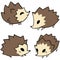 Vector set of hand-drawn hedgehogs isolated on a white background