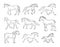 Vector set of hand drawn horse breeds