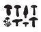Vector set of hand drawn mushroom silhouette