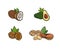 Vector set of healthy eating products, coconut, avocado, walnut and peanut isolated, colorful illustration.