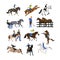 Vector set of horse riders icons, flat design