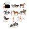 Vector set of horse riding people icons in flat style