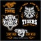 Vector set of illustrated tiger themed sport logo, patch, icon, or badge