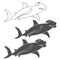 Vector set of illustrations depicting the hammer shark.