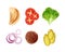 Vector set of ingredients for taco, tortilla including tomato, lettuce onion, patty and pickles isolated on background