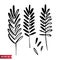 Vector set of ink drawing herbs, spikelets, monochrome artistic botanical illustration, isolated floral elements, hand