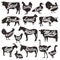 Vector set of isolated farm animals silhouettes