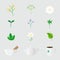 Vector set of isolated icons with different herbs and objects in realistic style.