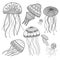 Vector set of jellyfishes in ethnic boho style