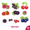 Vector set of juicy berries