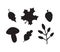 Vector set of leaves acorn and mushroom silhouette