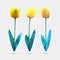 Vector set of low poly style flowers tulip. Polygon flower vector illustration. Logo design.