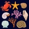 Vector set of marine elements. Red crab, starfish, tropical corals and shells. Sea and ocean theme. Decorative aquarium