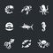 Vector Set of Marine life Icons.