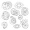 Vector Set of Monochrome Contour Floral Doodles