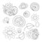 Vector Set of Monochrome Contour Floral Doodles