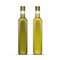 Vector Set of Olive or Sunflower Oil Glass Bottles