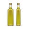 Vector Set of Olive or Sunflower Oil Glass Bottles