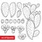 Vector set with outline cactus Indian fig Opuntia or prickly pear plant, fruit, flower and stem in black isolated on white.