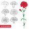 Vector set with outline Carnation or Clove flower, bud and leaves in black and red isolated on white. Symbol of Mother day.