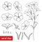 Vector set with outline Flax or Linseed or Linum flower bunch, bud and leaf in black isolated on white background.