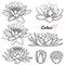 Vector set of outline Lotos or water lily flower, bud and seed pod in black isolated on white background.