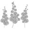 Vector set of outline Mimosa or Acacia dealbata or silver wattle flower bunch in black isolated on white background.