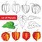 Vector set with outline Physalis or Cape gooseberry or Ground cherry fruit, leaf and berry isolated on white background.