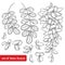 Vector set of outline white false Acacia or black Locust or Robinia flower bunch, bud and leaves in black isolated on white.