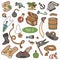 Vector set of pirate items, colorful cartoon collection
