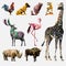 Vector set of polygonal animals