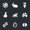 Vector Set of Rabbit Icons.