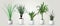 Vector set of realistic green houseplants in pots