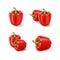 Vector Set of Red Sweet Bulgarian Bell Peppers, Paprika