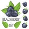 Vector set of ripe blackberries, isolated on a white background. Beautiful juicy berries.