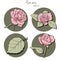 Vector set of round icons with roses. Colored symbols for the design of sites, applications, banners, widgets, decor, etc. Vector