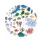 Vector set of sea animals - shark, tropical fish, corals, seahorses, seashells, starfish, stingray, algae