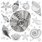 Vector set Sea Shells, zentangle shelsl for adult anti stress Co