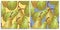 Vector set of seamless patterns with hand-drawn harvest juicy, delicious rich soft pears conference, with highlights, with a