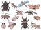 Vector set several cute insect illustration