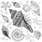 Vector set Shells, zentangle seeshell for adult anti stress Colo