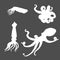 Vector Set of Silhouette Cephalopod Illustrations. Octopus, Cuttle and Squid
