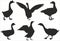 Vector set of silhouettes of geese