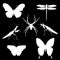 Vector set of silhouettes of insects - butterflies, spider