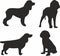 Vector set of silhouettes of small dogs