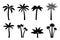 Vector set of simple palm trees.