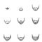 Vector Set of Sketch Beards