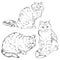 Vector Set of Sketch Cats